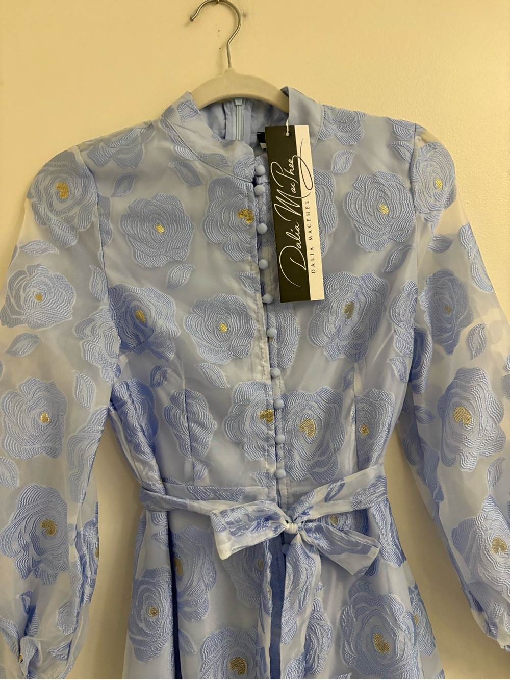 Dalia MacPhee Periwinkle Floral Jacquard Organza Maxi Dress D2256 NWT - Picture 6 of 16